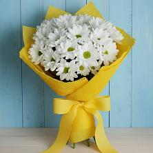 Букет цветов из:  Хризантемы в Стародубе