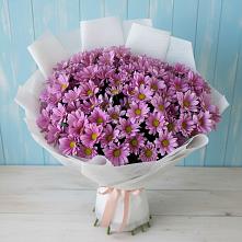 Букет цветов из:  Хризантемы #REPLACE_PRED# Стародубе