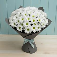 Букет цветов из:  Хризантемы #REPLACE_PRED# Стародубе