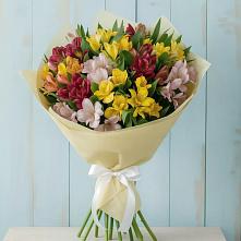 Букет цветов из:  Альстромерии в Стародубе