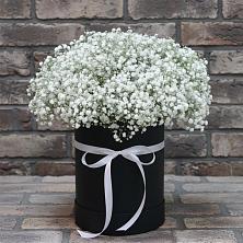 Цветочная композиция из Гипсофила в шляпной коробке в Стародубе