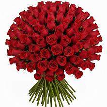 Букет Красные розы Чери Лав в Стародубе